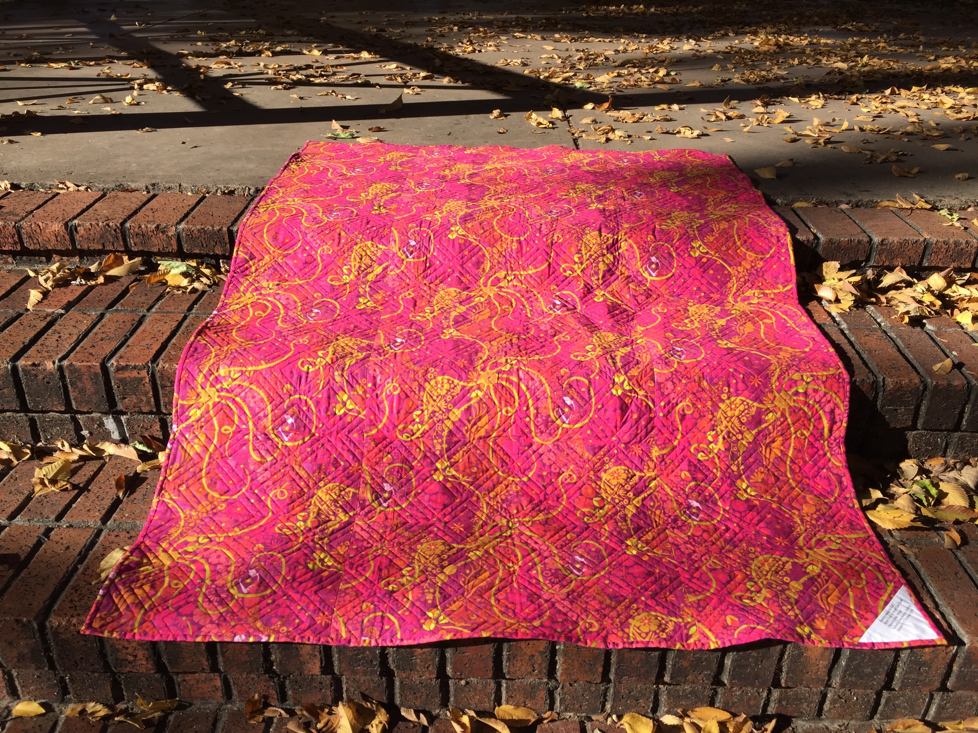 911D0872-ADB0-40B0-B0A9-FF5BDD2541F1