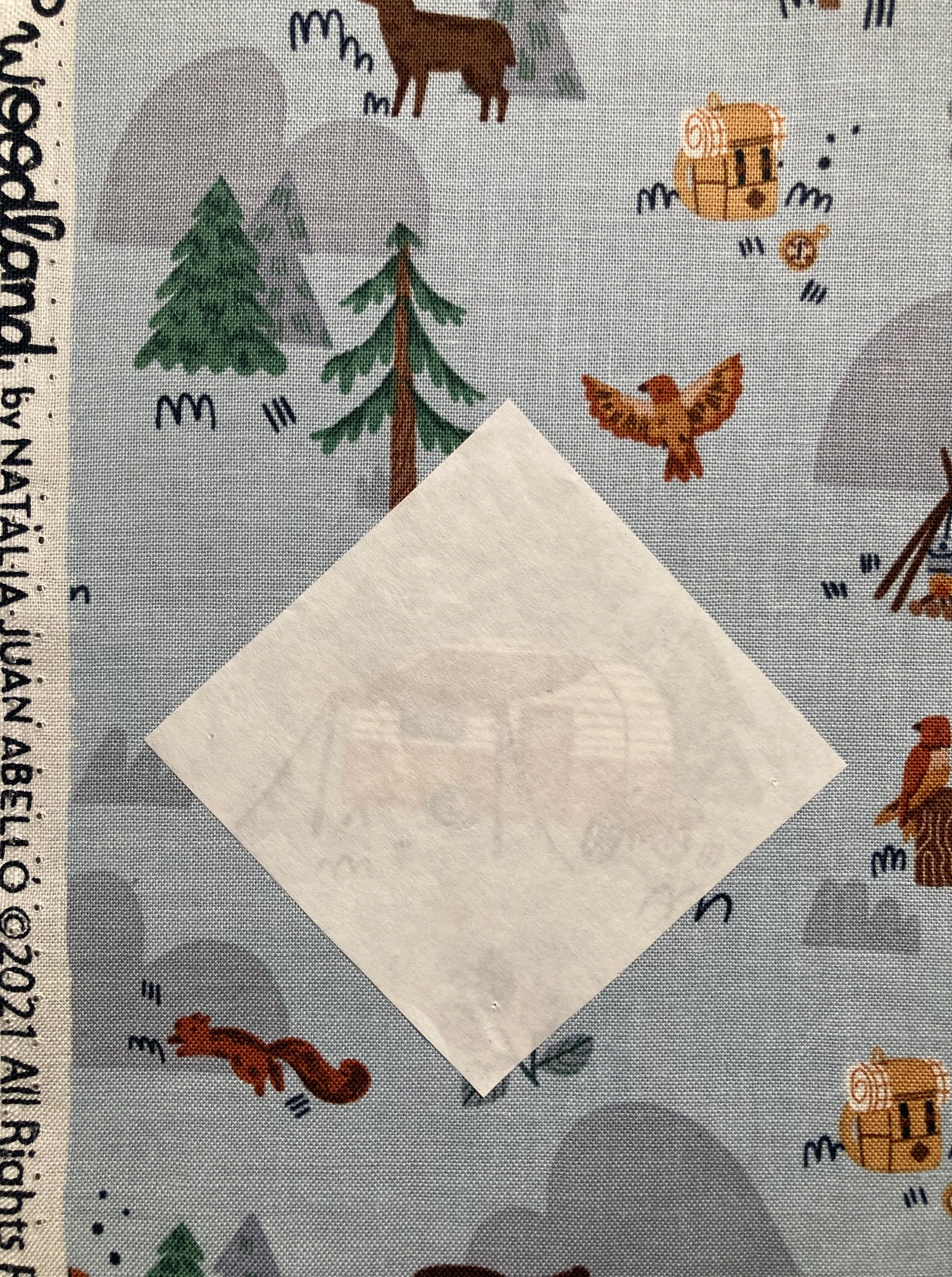 Fussy cutting step 1