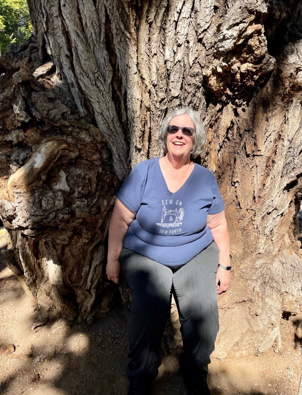 Me sitting in tree in Santa Fe